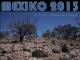 Mexiko 2013 Titel